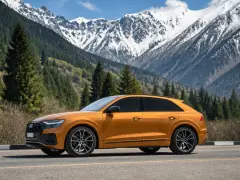 Audi Q8 2019 — side